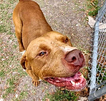 Photo of Rudy
