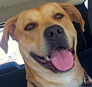 Photo of Maverick