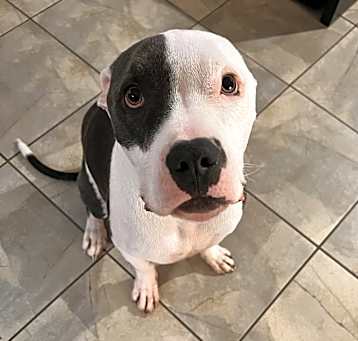 Photo of Zuko