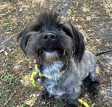 Photo of FINN