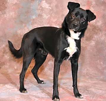 Photo of FRED