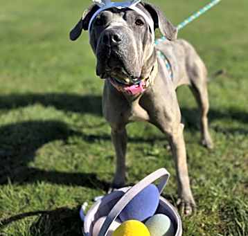 Photo of Princess