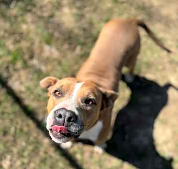 Photo of Laney