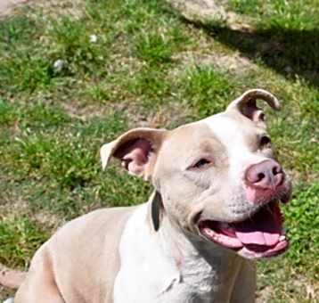 Photo of Taz