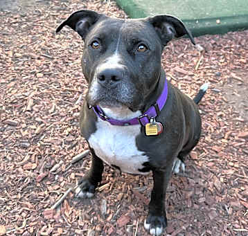 Photo of Xena
