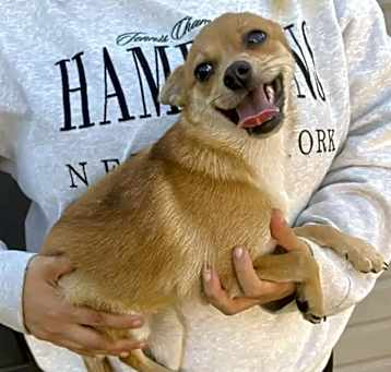 Photo of Nala