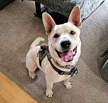 Photo of DUKE