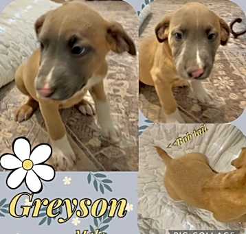 Photo of Greyson meet me 5/31