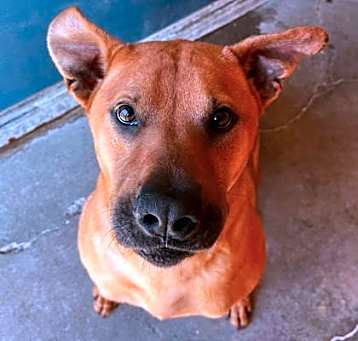Photo of Sancho