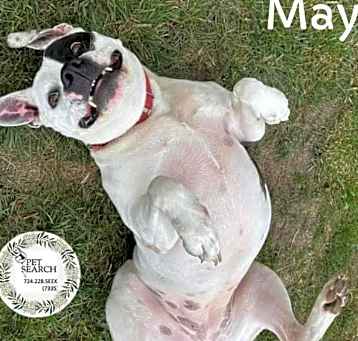 Photo of May