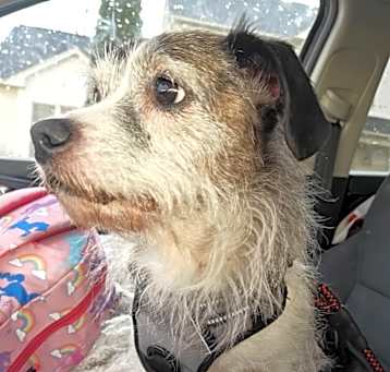 Photo of Wally