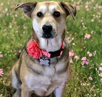 Photo of Charlie