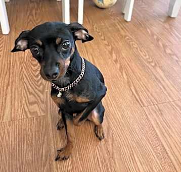 Photo of Emmy