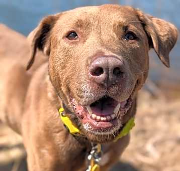 Photo of Sadie