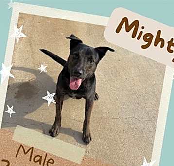 Photo of MIGHTY