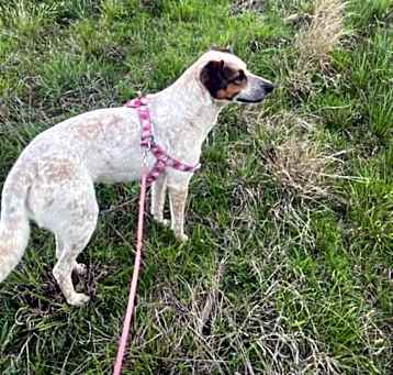 Photo of Belle