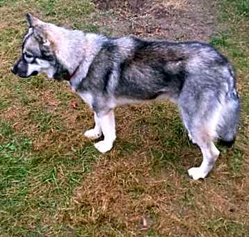 Photo of Slayte