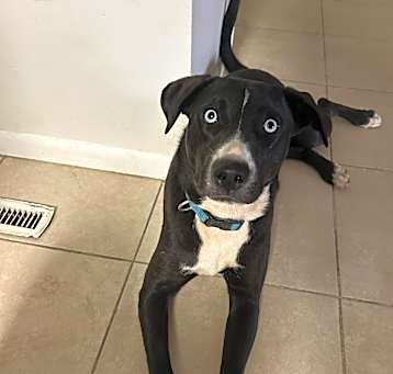 Photo of Missy