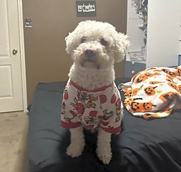 Photo of Bentley