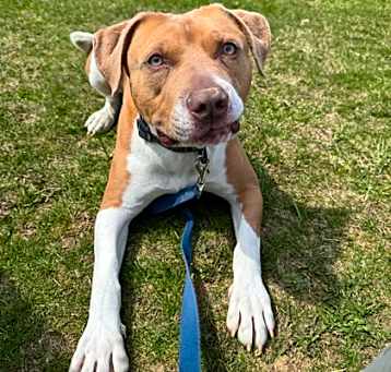 Photo of Capone