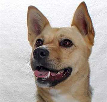 Photo of NALA