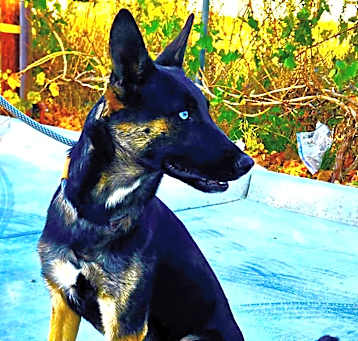 Photo of SKYE