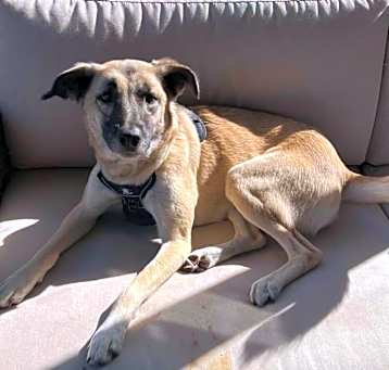Photo of Ella