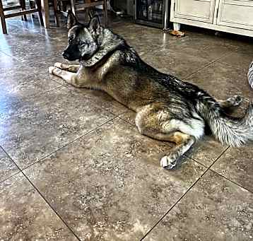Photo of Mila