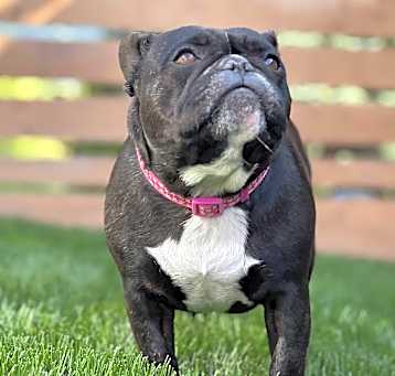 Photo of Lucy