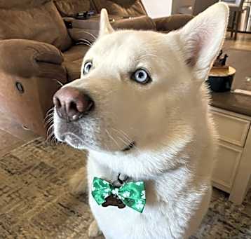 Photo of Oso