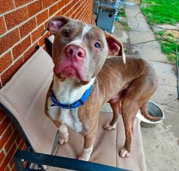 Photo of Knox