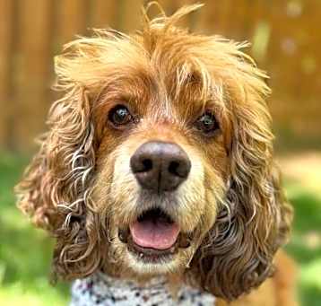 Photo of Arthur