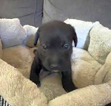 Photo of Tank