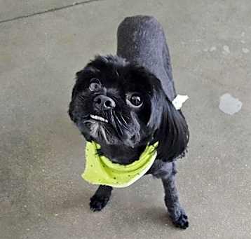 Photo of Spencer