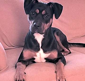 Photo of Chloe