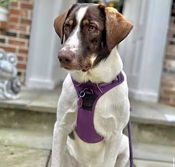 Photo of Mercy
