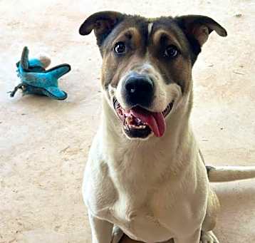 Photo of Heidi