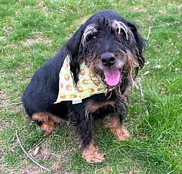 Photo of Ralph