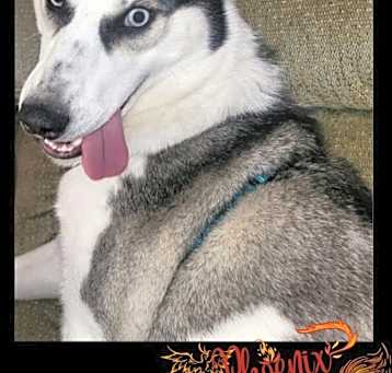 Photo of Phoenix