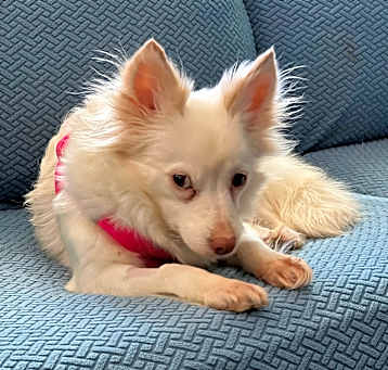 Photo of Mabel