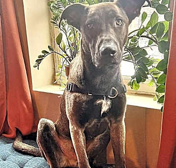 Photo of Bram