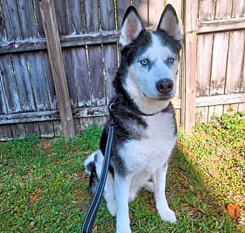 Photo of Zeke