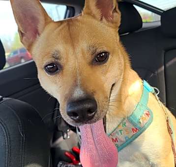 Photo of Lucy Lu