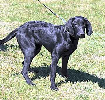 Photo of Elsa