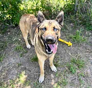 Photo of Duke