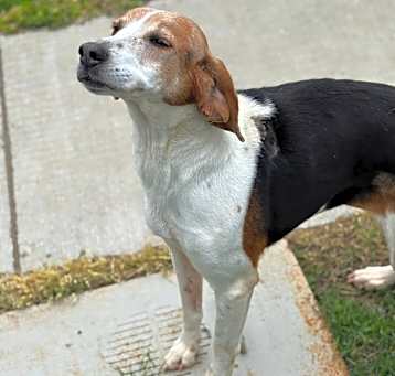 Photo of Lily