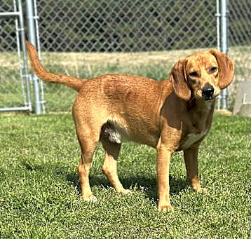Photo of Tex