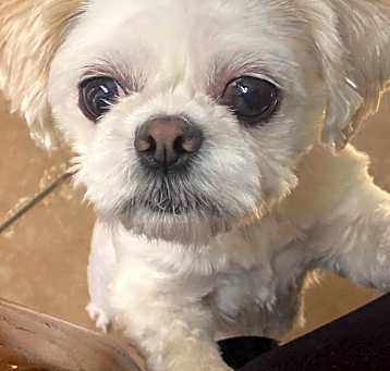 Photo of Nancy