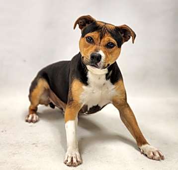 Photo of Junior