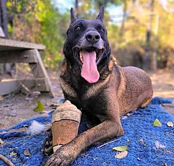Photo of General 